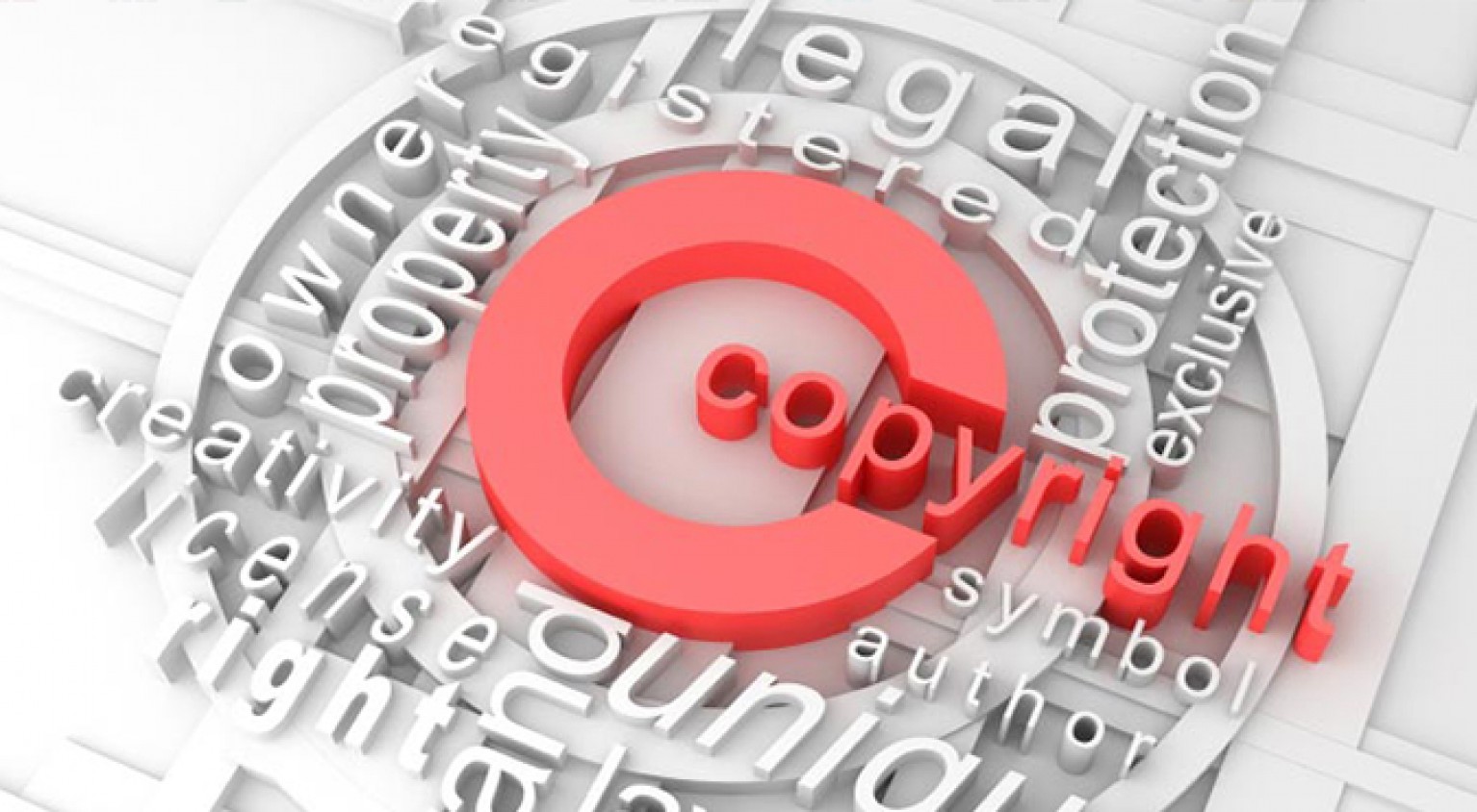 Authorized Points in Copyright Litigation Legal professional